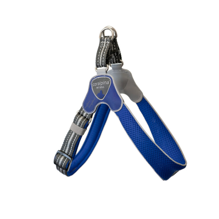 Pettorina Cinquetorri Regolabile blu