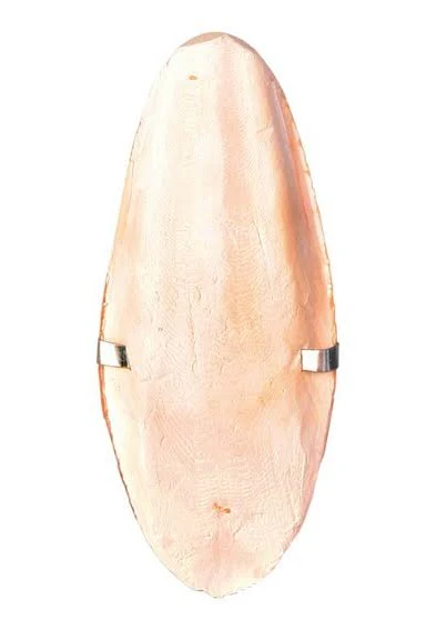 TRIXIE OSSO DI SEPPIA GRANDE